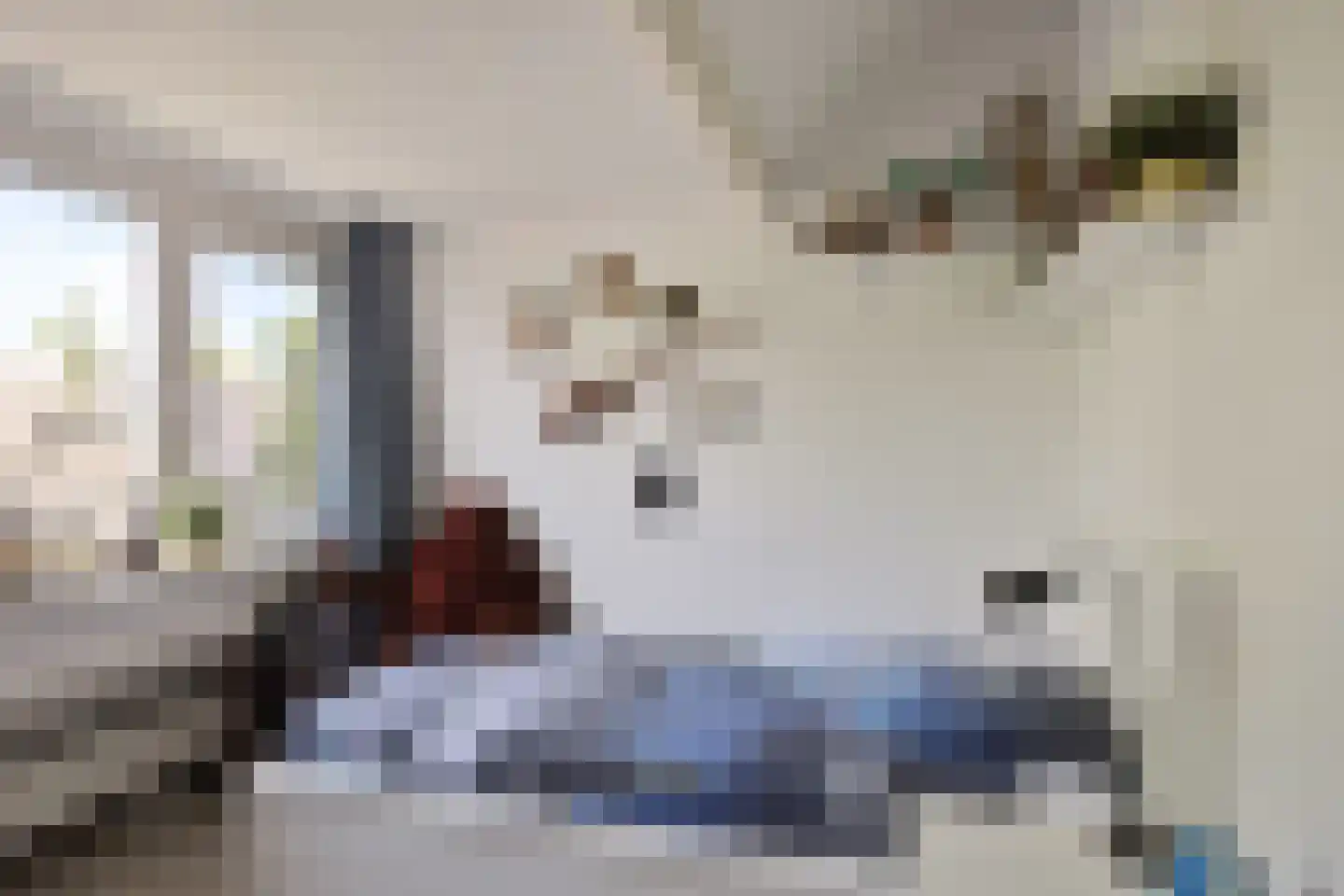 Dahliastraat 39 Koog aan de Zaan thumbnail 41