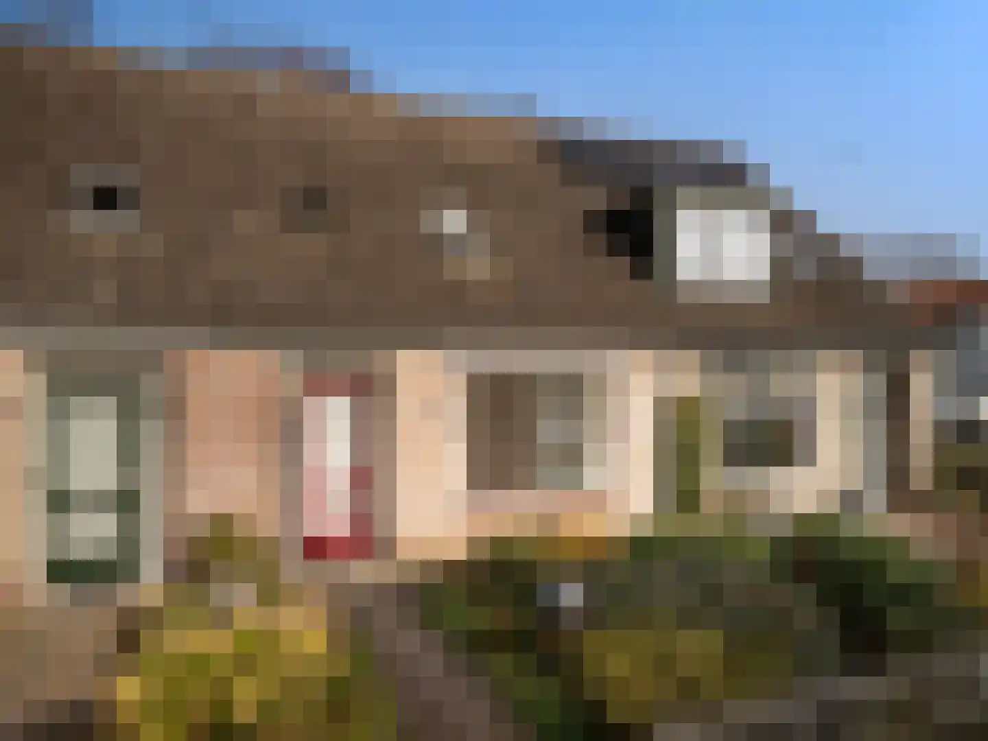 Dahliastraat 4 Baarn