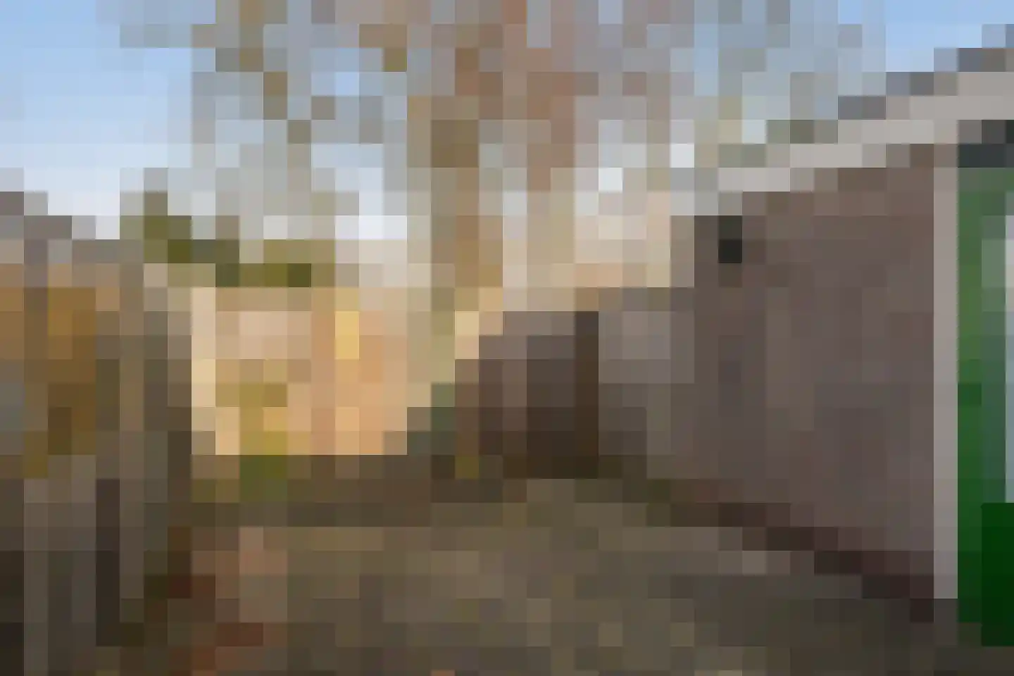 Dahliastraat 4 Baarn thumbnail 15
