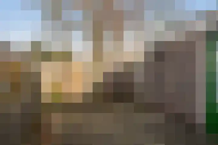 Dahliastraat 4 Baarn thumbnail 15