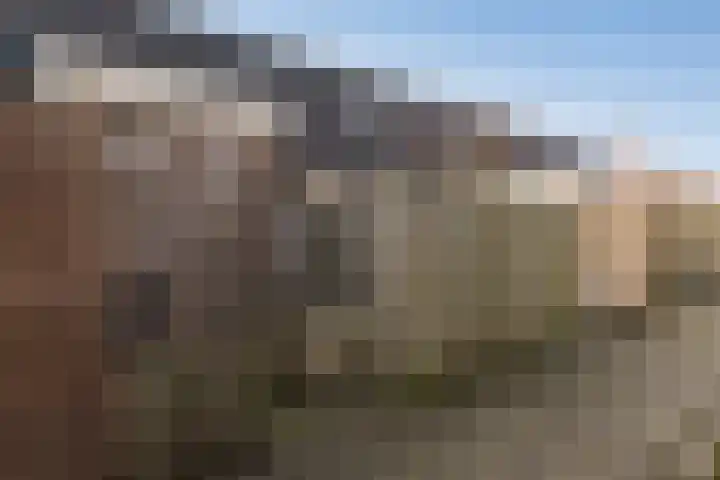 Dahliastraat 4 Baarn thumbnail 17