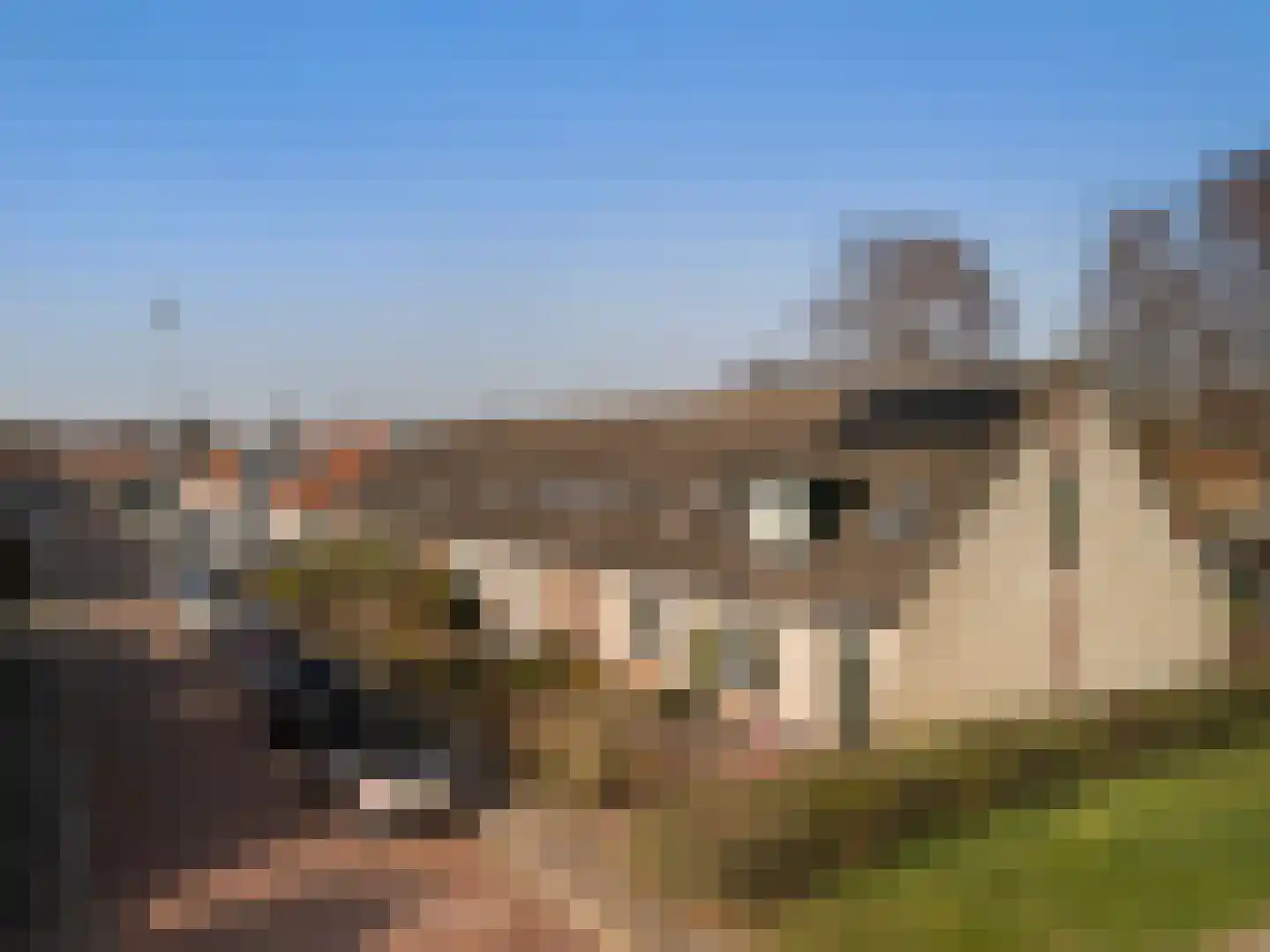 Dahliastraat 4 Baarn thumbnail 4