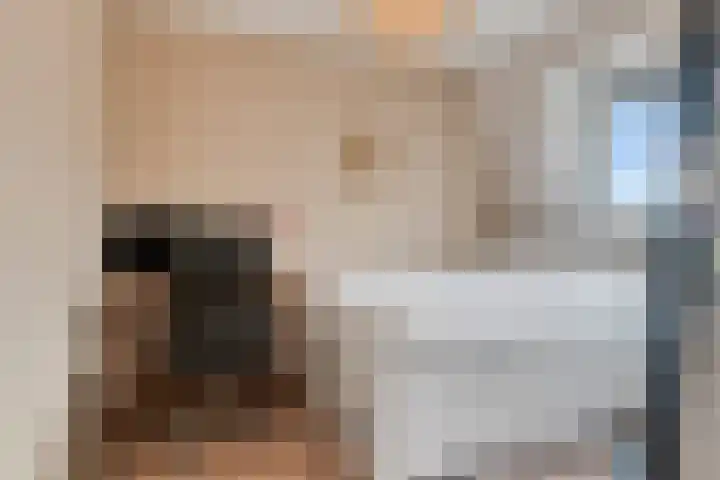 Dahliastraat 4 Breda thumbnail 26