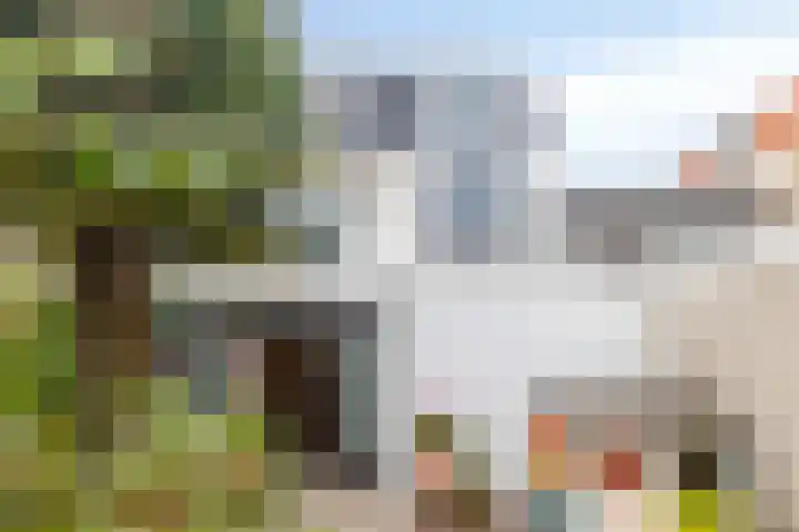 Dahliastraat 4 Breda thumbnail 35