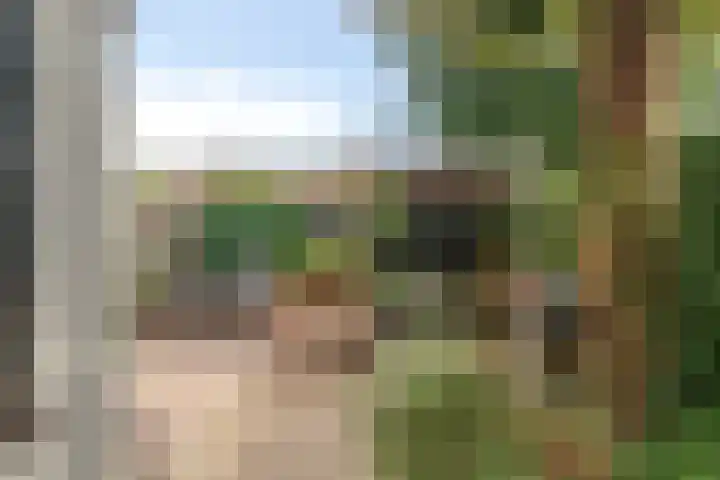 Dahliastraat 4 Breda thumbnail 36