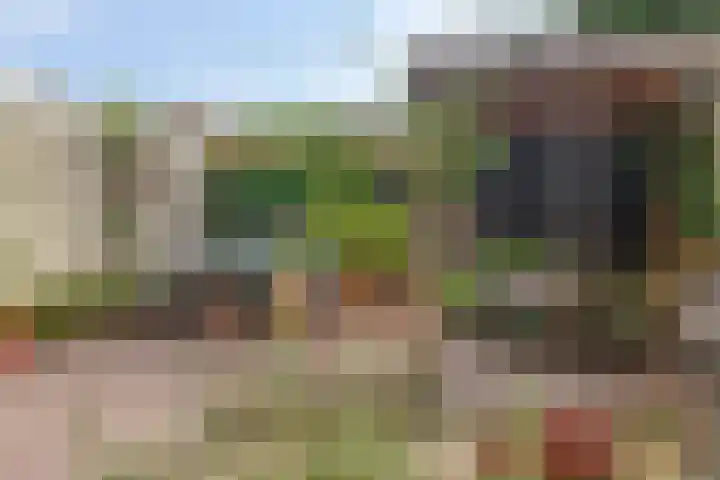 Dahliastraat 4 Breda thumbnail 37