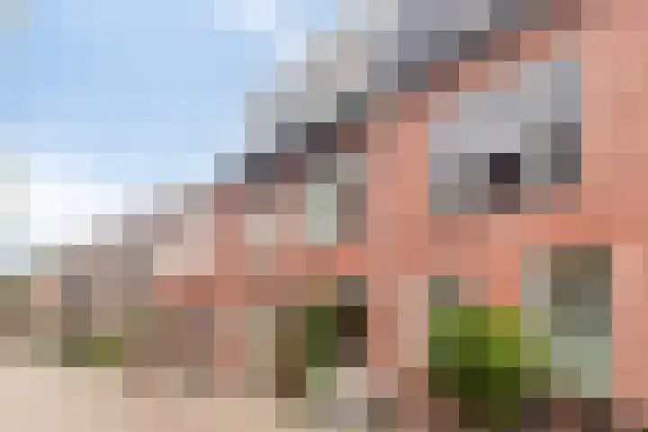 Dahliastraat 4 Breda thumbnail 41