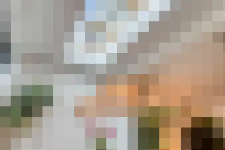 Dahliastraat 4 Breda thumbnail 8