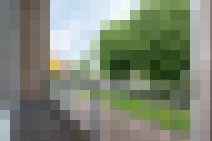 Dahliastraat 4 Giesbeek thumbnail 11