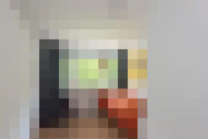 Dahliastraat 4 Giesbeek thumbnail 16