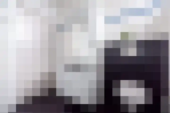 Dahliastraat 4 Giesbeek thumbnail 22
