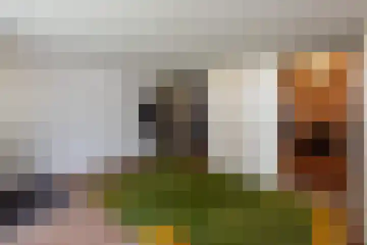 Dahliastraat 4 Giesbeek thumbnail 24
