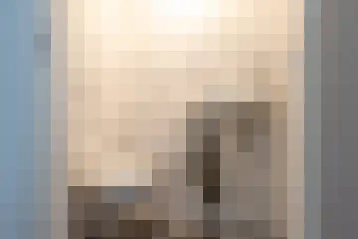 Dahliastraat 4 Giesbeek thumbnail 25