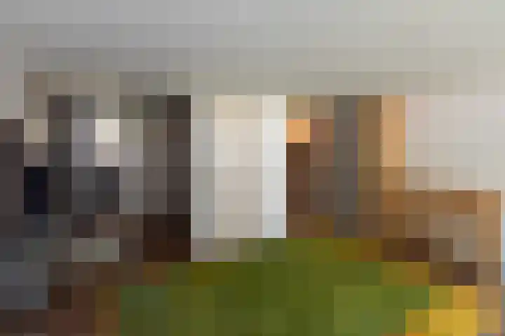 Dahliastraat 4 Giesbeek thumbnail 26
