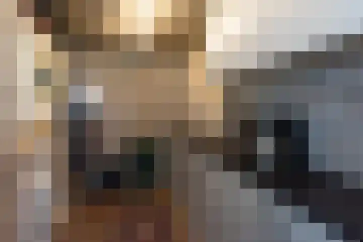 Dahliastraat 4 Giesbeek thumbnail 27