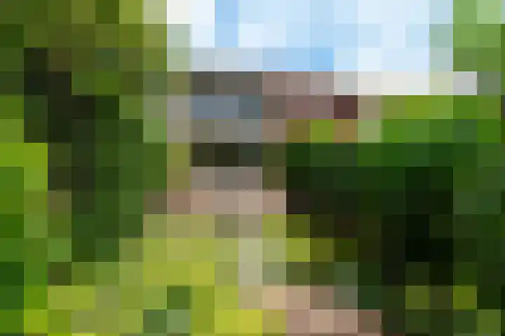 Dahliastraat 4 Giesbeek thumbnail 30
