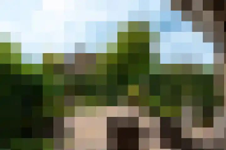 Dahliastraat 4 Giesbeek thumbnail 31