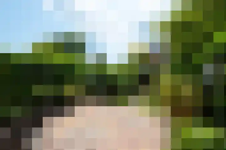 Dahliastraat 4 Giesbeek thumbnail 32