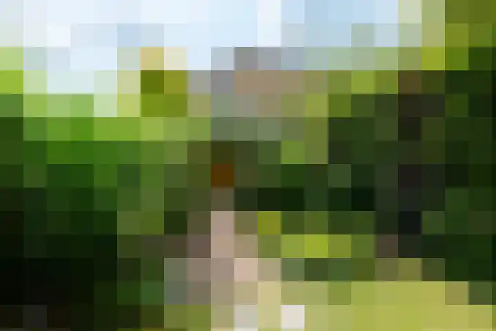 Dahliastraat 4 Giesbeek thumbnail 33