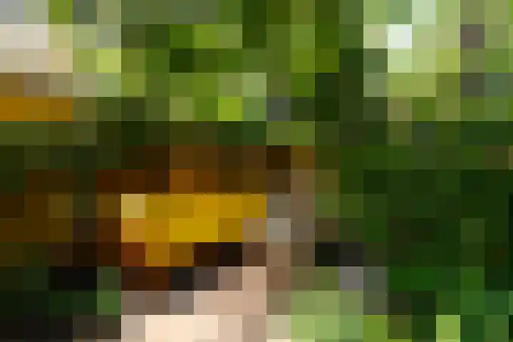 Dahliastraat 4 Giesbeek thumbnail 34