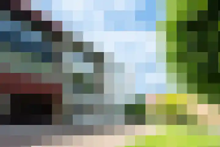 Dahliastraat 4 Giesbeek thumbnail 37