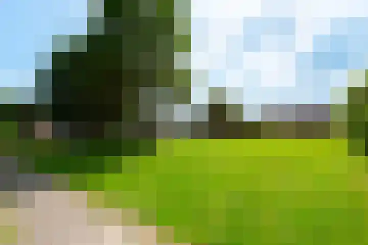 Dahliastraat 4 Giesbeek thumbnail 38