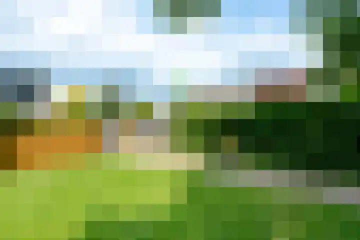 Dahliastraat 4 Giesbeek thumbnail 39