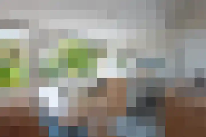 Dahliastraat 4 Giesbeek thumbnail 4