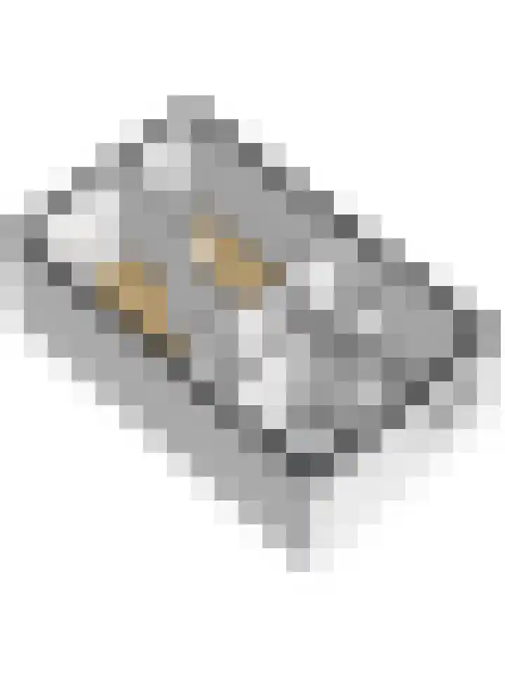 Dahliastraat 4 Giesbeek thumbnail 45