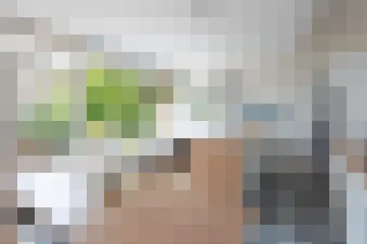 Dahliastraat 4 Giesbeek thumbnail 6