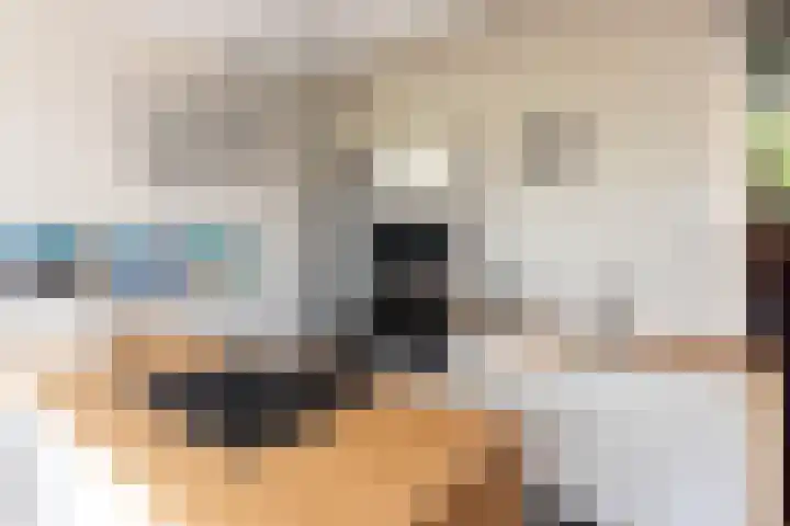 Dahliastraat 4 Giesbeek thumbnail 7