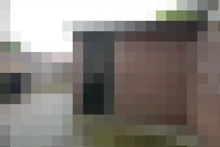 Dahliastraat 4 Olst thumbnail 13