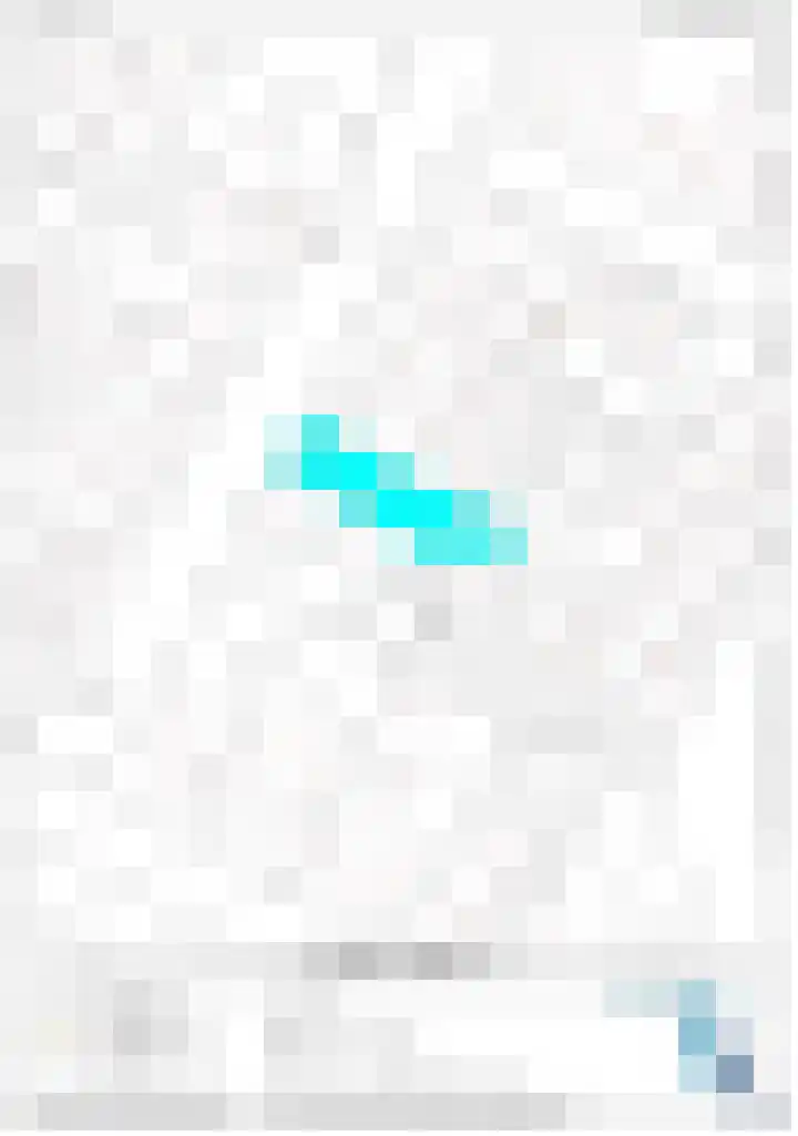 Dahliastraat 4 Olst thumbnail 15