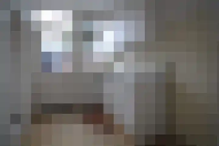 Dahliastraat 4 Olst foto 2