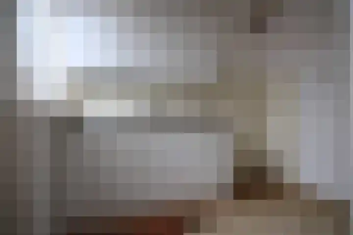 Dahliastraat 4 Olst foto 3
