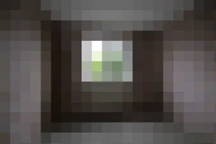 Dahliastraat 4 Olst thumbnail 8