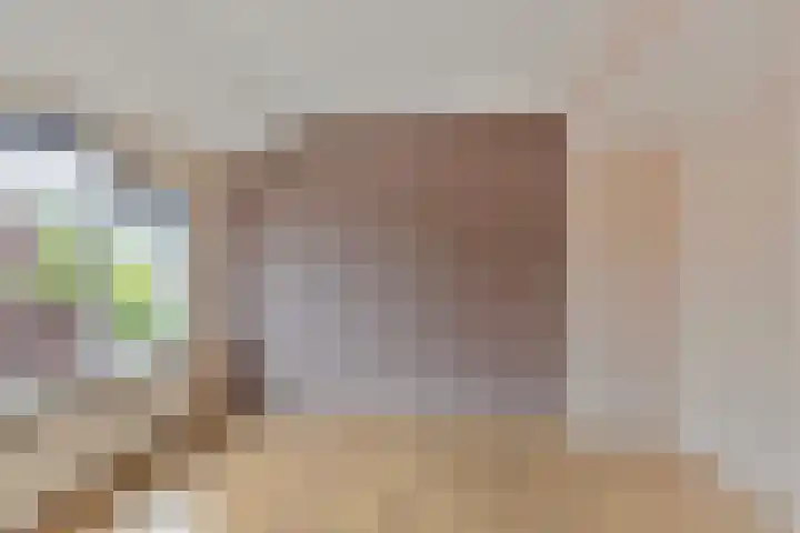 Dahliastraat 4 Oud-Beijerland thumbnail 10