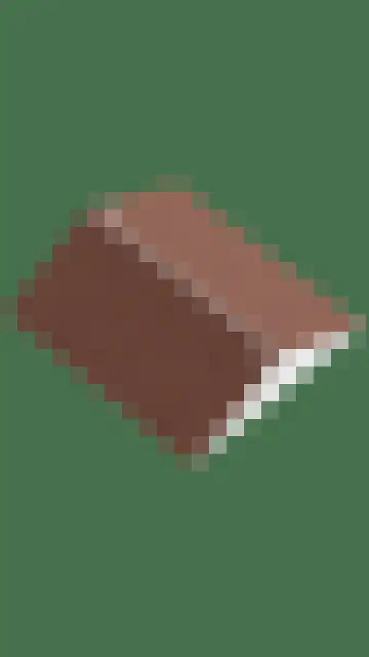 Dahliastraat 4 Oud-Beijerland thumbnail 21