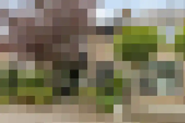 Dahliastraat 4 Oud-Beijerland thumbnail 5