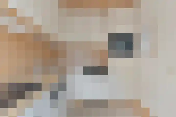 Dahliastraat 4 Oud-Beijerland thumbnail 8