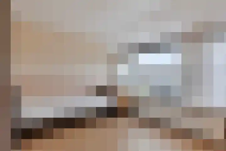 Dahliastraat 4 Oud-Beijerland thumbnail 9
