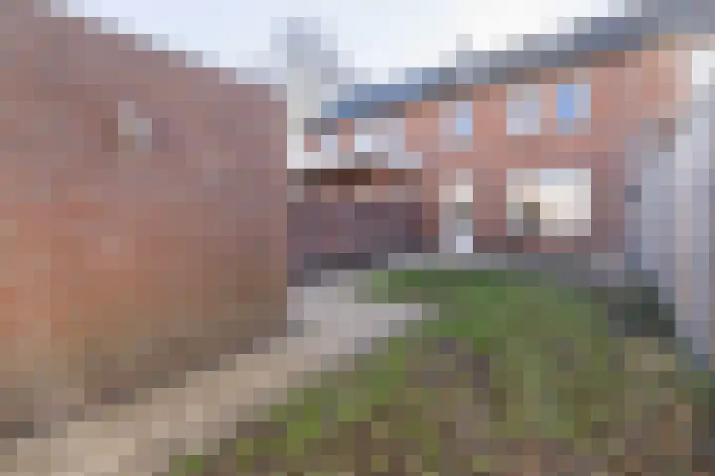Dahliastraat 4 Weert thumbnail 36
