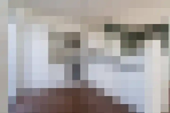 Dahliastraat 4 Weert thumbnail 8