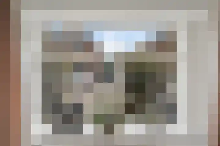 Dahliastraat 4 Woerden thumbnail 13