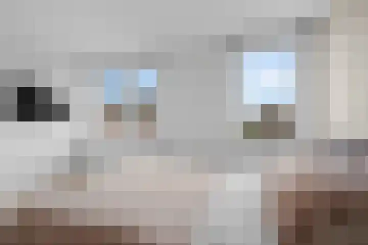 Dahliastraat 4 Woerden thumbnail 17