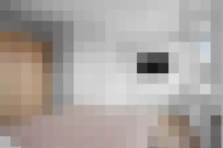 Dahliastraat 4 Woerden thumbnail 18