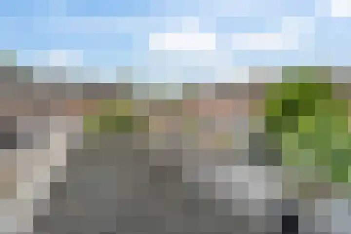 Dahliastraat 4 Woerden thumbnail 24