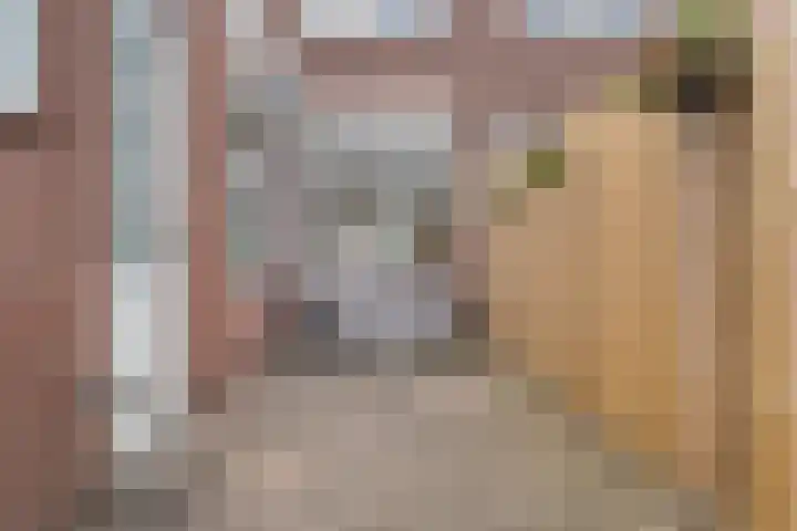 Dahliastraat 4 Woerden thumbnail 30