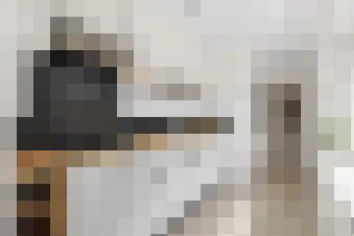 Dahliastraat 4 Woerden thumbnail 7