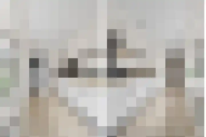 Dahliastraat 4 Woerden thumbnail 9